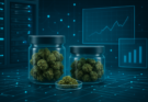 Cheapest Weed Online Canada – Best Value Cannabis at Bulk Buddy